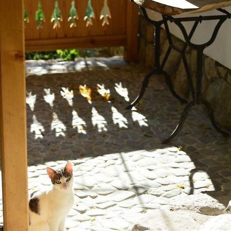 Appartamento Casa De Oaspeti Adorabila Aproape De Natura Sărata-Monteoru Esterno foto